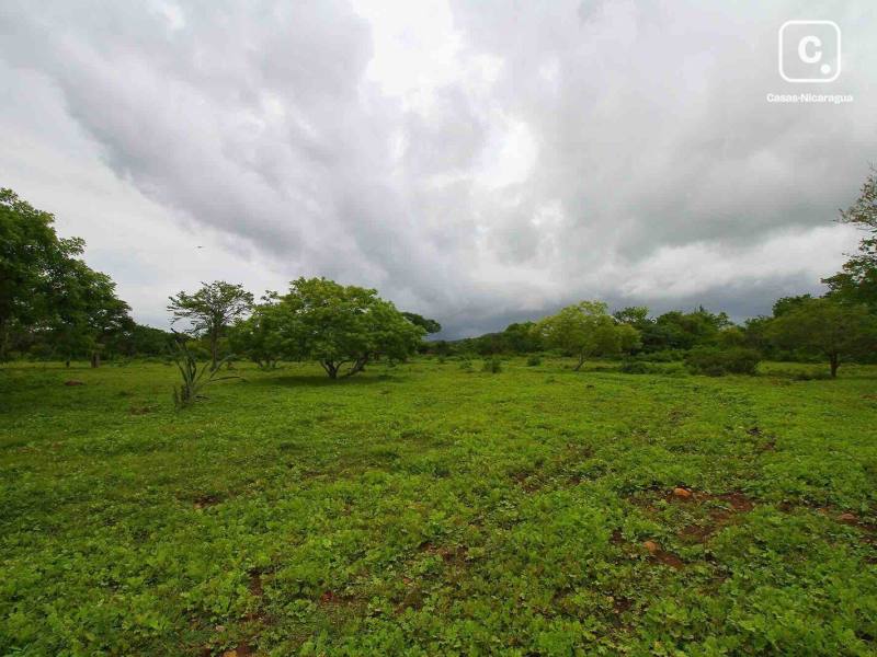 Commercial unit for sale in Rivas – 485,623 m²