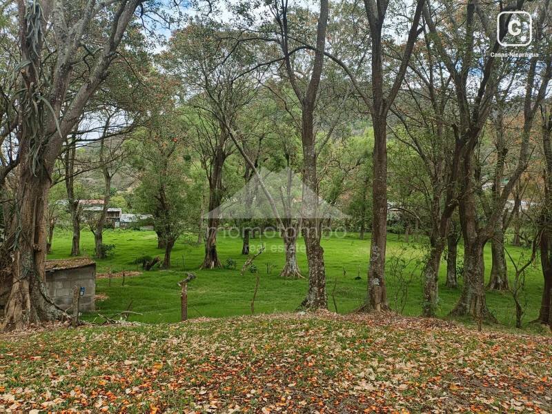 Lot for sale in Jinotega – 24,245 m²