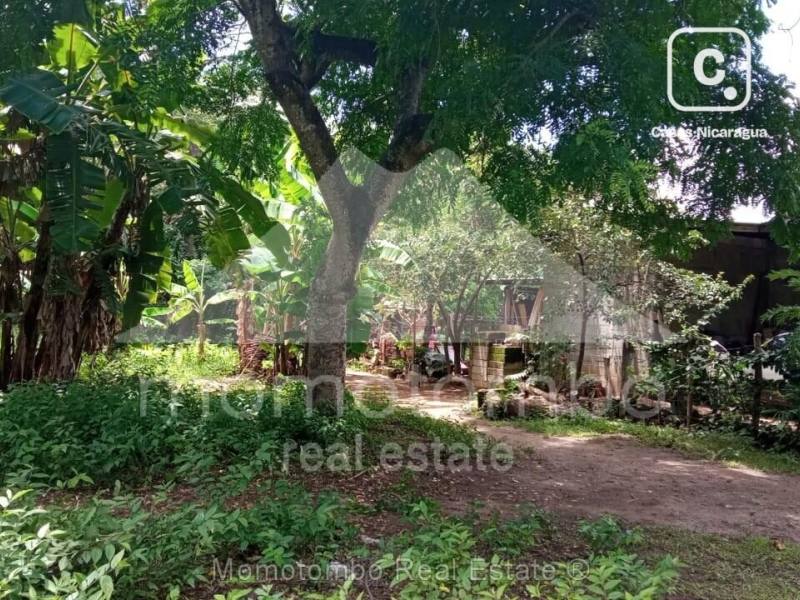 Lot for sale in Diriomo, Granada – 279 m²