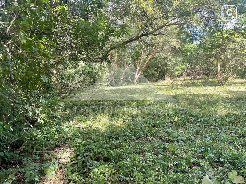 Terreno en venta en Carretera Masaya, Managua – 8,100 varas²