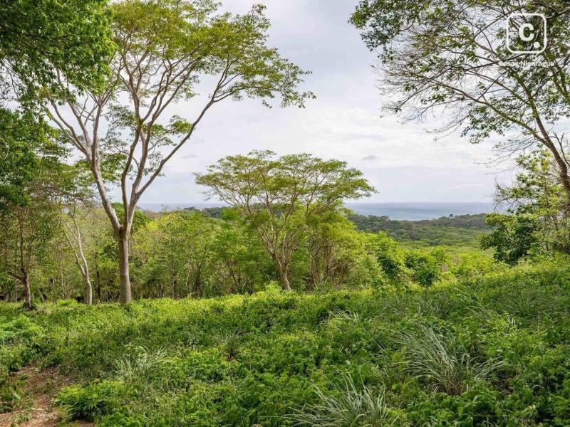 Lot for sale in Tola, Rivas – 4,047 m²