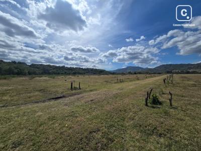 House for sale in Estelí – 6,987 m²