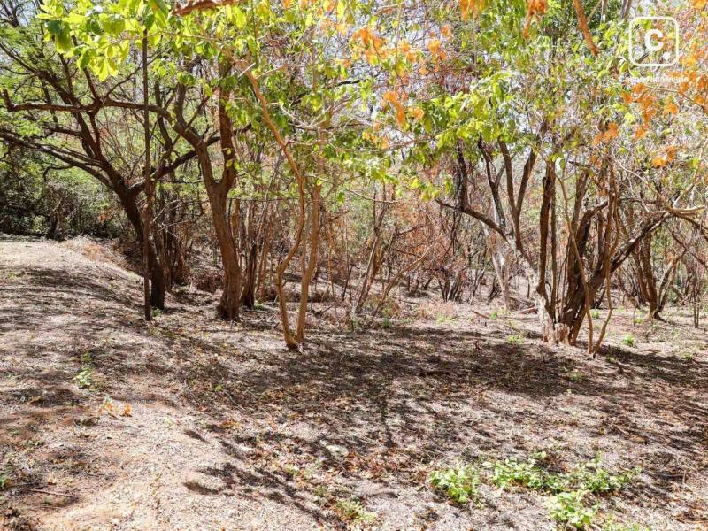 Lot for sale in Tola, Rivas – 4,038 m²
