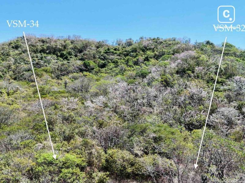 Lot for sale in Tola, Rivas – 1,609 m²