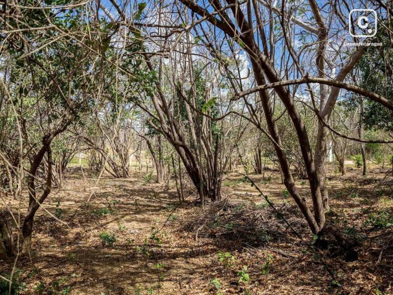 Lot for sale in Tola, Rivas – 2,000 m², US$ 25,000