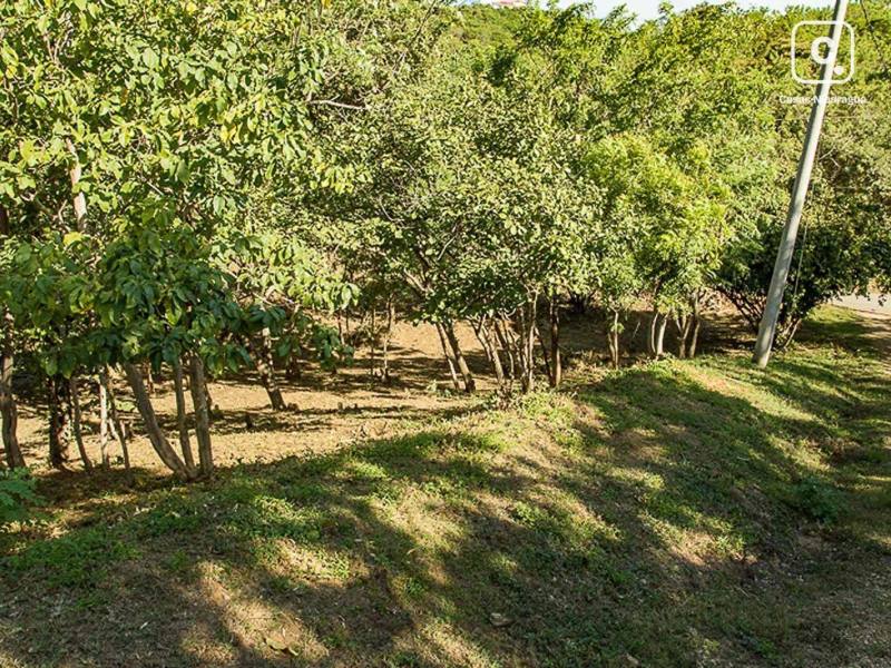Local comercial en venta en Tola, Rivas – 2,618 m²
