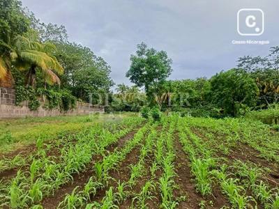 Terreno en venta en Carretera Masaya, Managua – 520 m²
