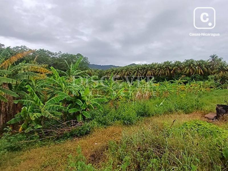 Lot for sale in Carretera Masaya, Managua – 520 m²
