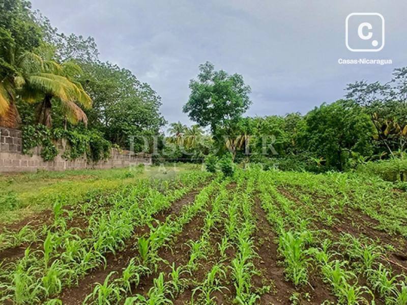 Lot for sale in Carretera Masaya, Managua – 520 m²