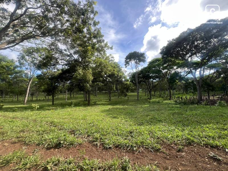 Casa en venta en Carazo – 210,963 varas²