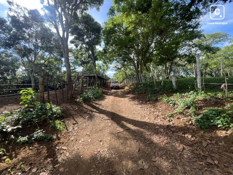 Casa en venta en Carazo – 210,963 varas²
