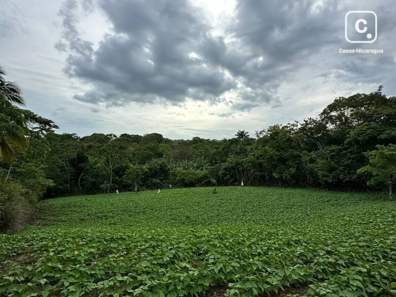 Casa en venta en San Marcos, Carazo – 5,045 varas²
