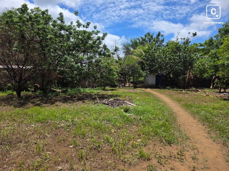 Casa en alquiler en Managua – 1,253 varas²
