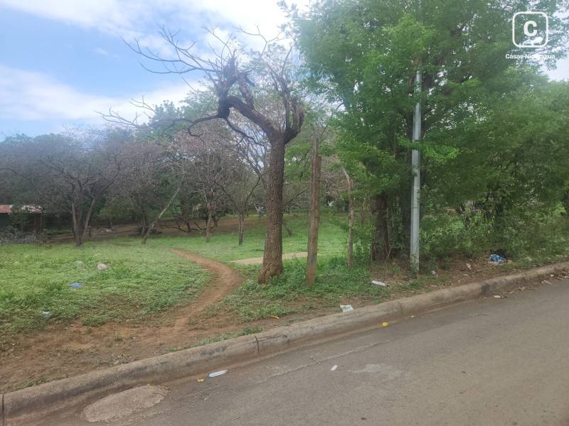 Commercial unit for rent in Managua – 12,987 m²