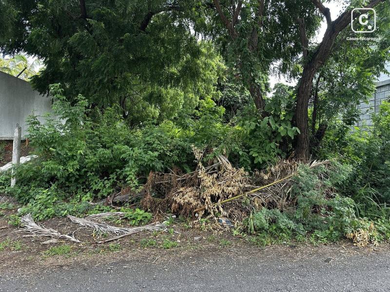 Finca en venta en Managua – 723 varas²