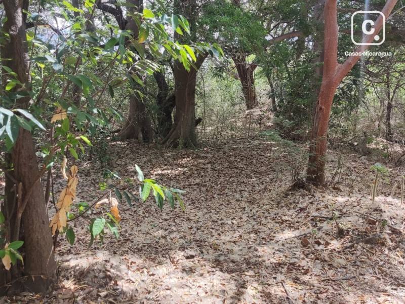 Local comercial en venta en Managua – 50,499 varas²