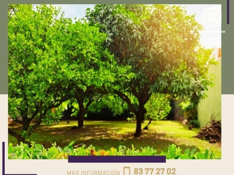 TERRENO 375 M² EN BOSQUES DE MIRAFLORES 