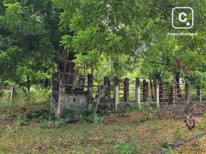 Finca en venta en Carretera Nueva León, Managua – 533,672 varas²