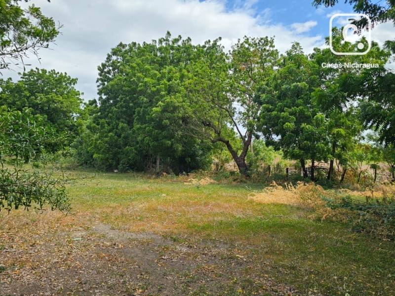 Finca en venta en Carretera Nueva León, Managua – 533,672 varas²