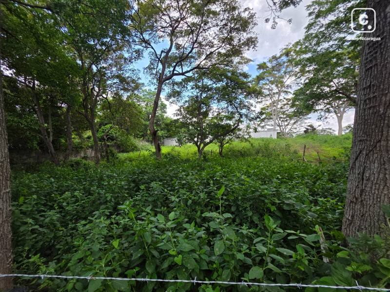 Finca en venta en Carretera Sur, Managua – 953 varas²
