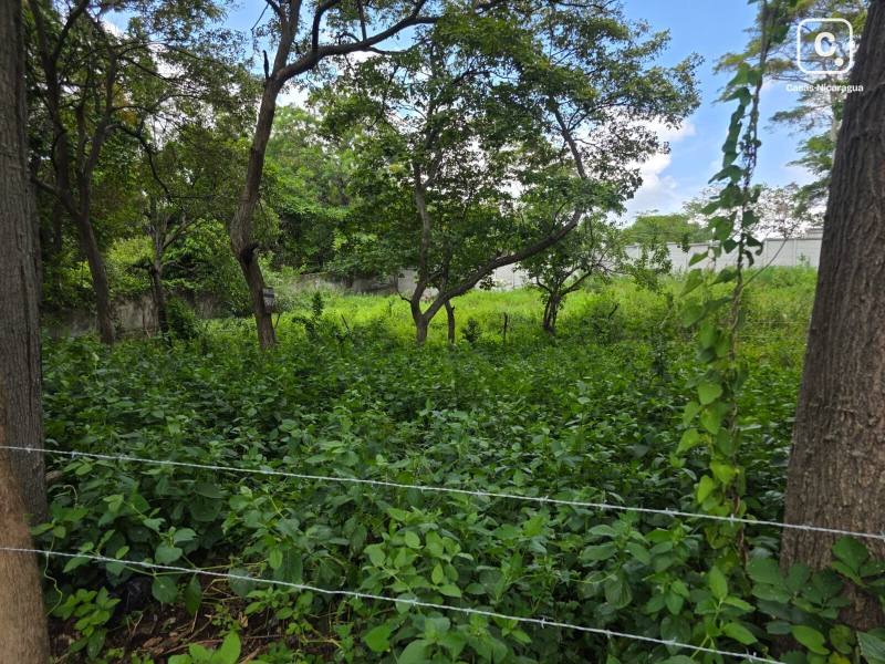 Farm for sale in Carretera Sur, Managua – 666 m²