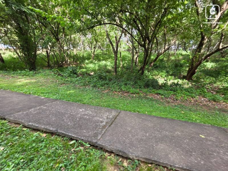 Finca en venta en Santo Domingo, Managua – 2,531 varas²