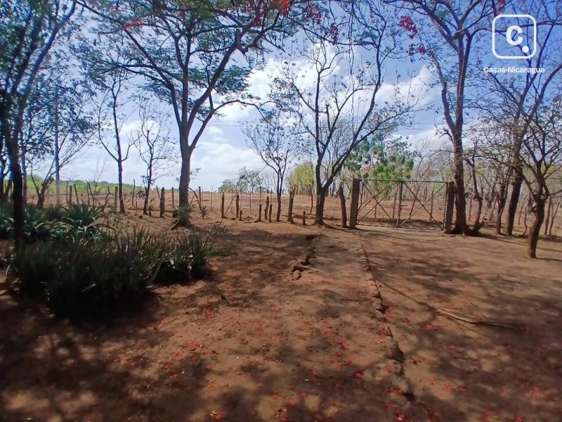 Commercial unit for sale in Tipitapa, Managua – 14,100 m²