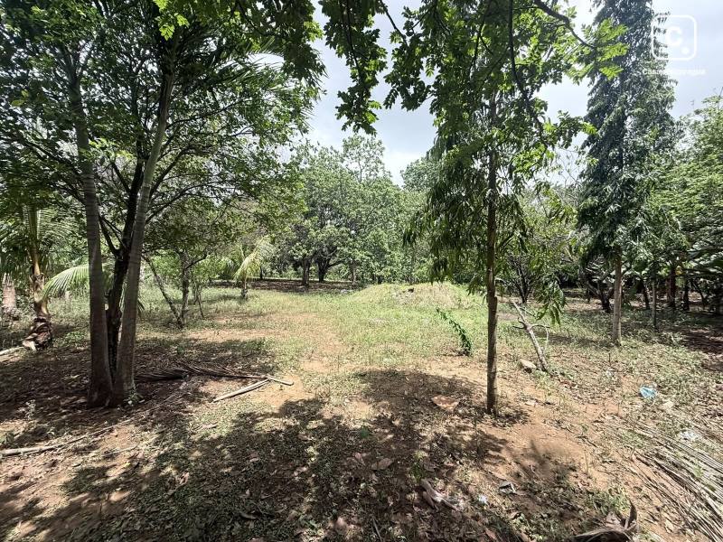 Farm for sale in Masaya – 2,459 m²