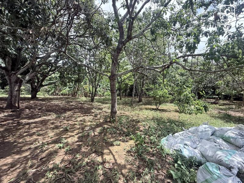 Farm for sale in Masaya – 2,459 m²