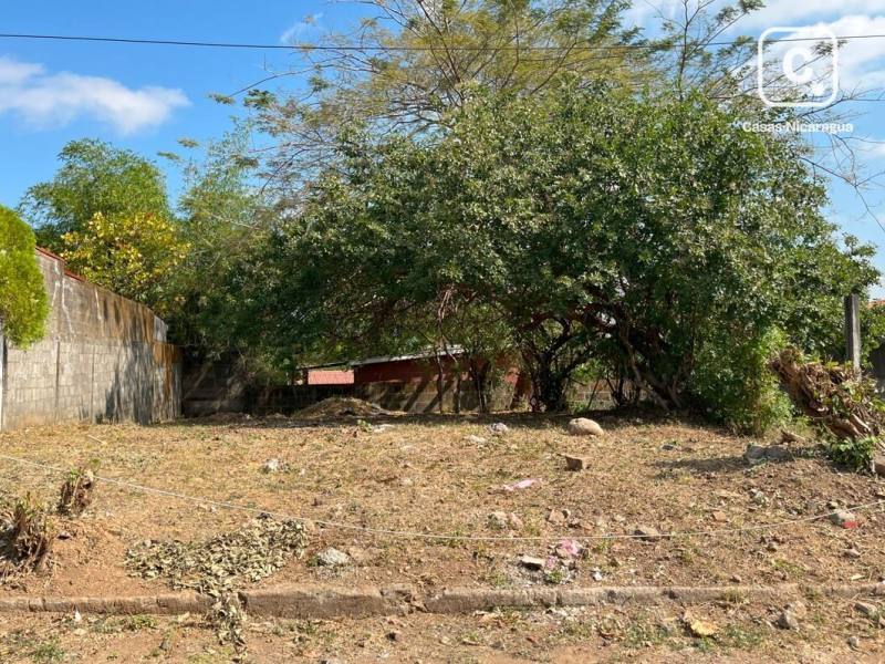 Local comercial en venta en León – 505 varas²