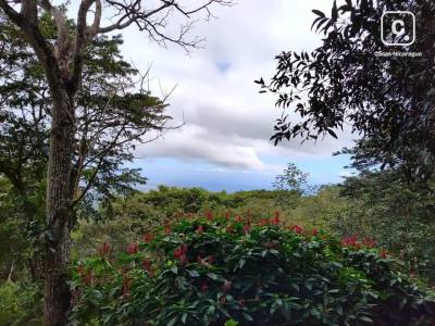 Finca en venta en Granada – 10,078 varas²