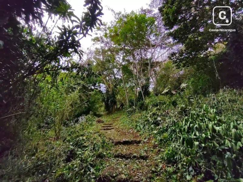 Farm for sale in Granada – 7,041 m²