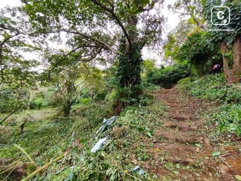 Farm for sale in Granada – 7,041 m²
