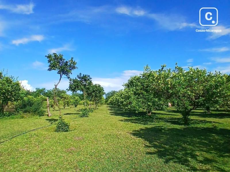 Finca en venta en Nindirí, Masaya – 2 hab, 80 m²