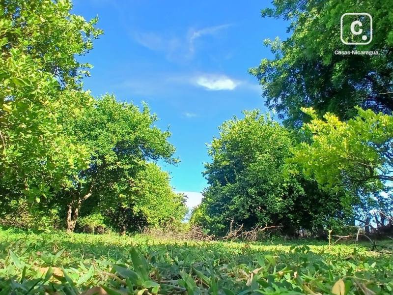 Finca en venta en Nindirí, Masaya – 2 hab, 80 m²