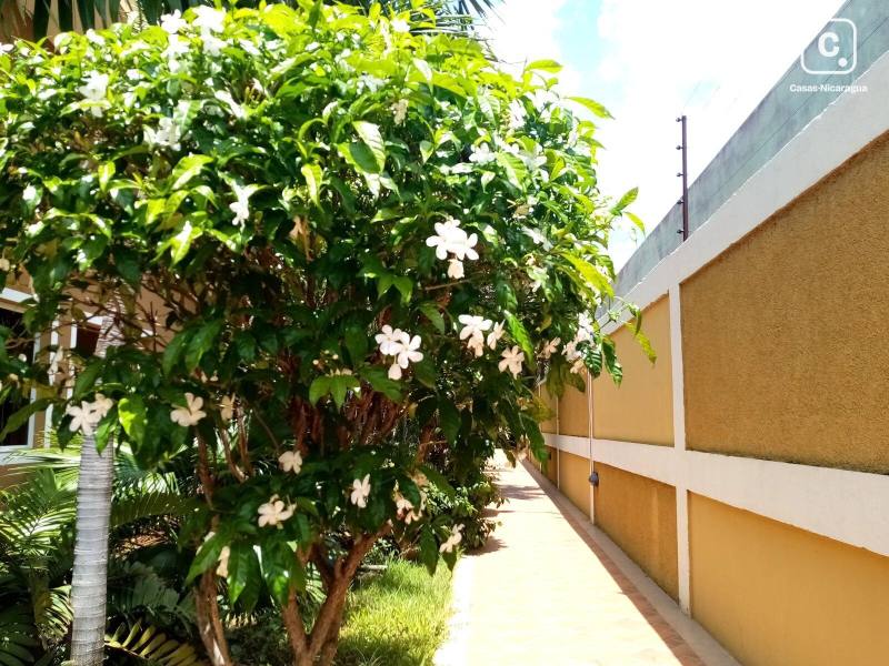 Apartamento en alquiler en Planes de Altamira, Managua – 2 hab, 120 m²