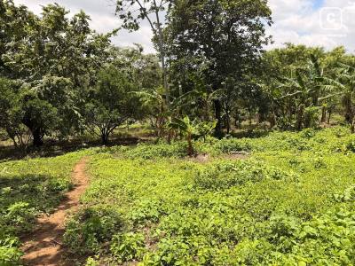 Lot for sale in San Marcos, Carazo – 34,215 m²