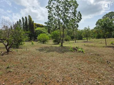 Finca en venta en Santo Domingo, Managua – 5,045 varas²
