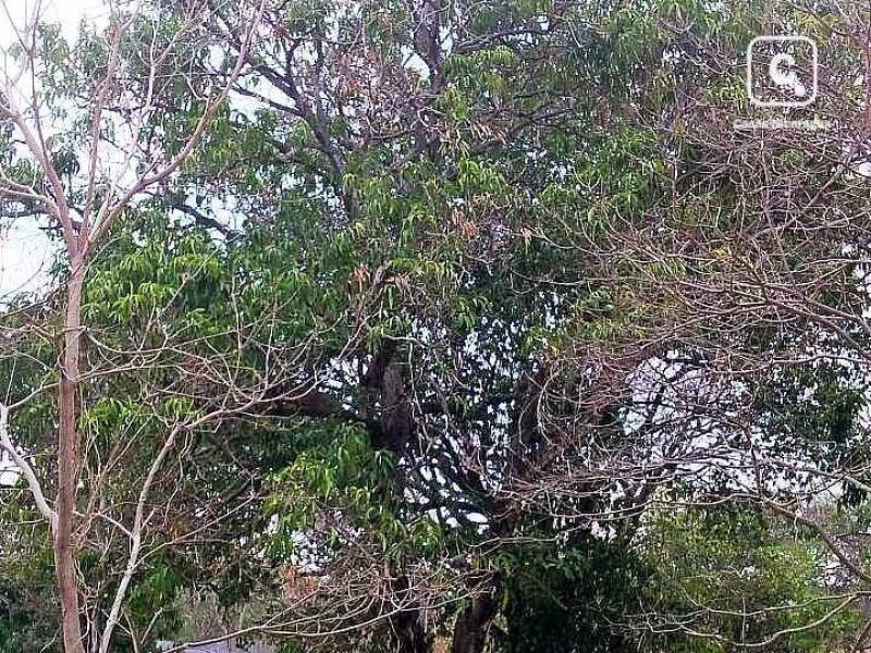 Bodega en venta en Nindirí, Masaya – 5,092 varas²