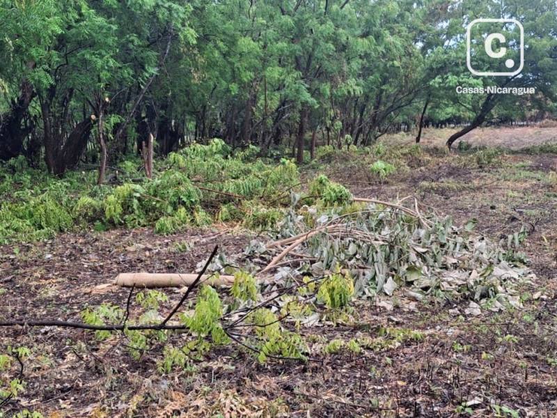 Finca en venta en Isla de Ometepe, Rivas – 14,130 varas²
