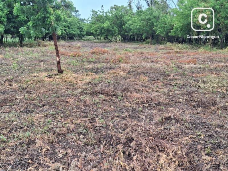 Farm for sale in Isla de Ometepe, Rivas – 9,873 m²