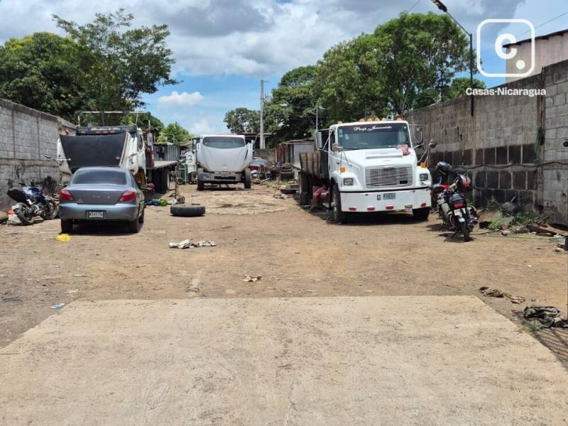 Local comercial en alquiler en El Mayoreo, Managua – 828 varas²