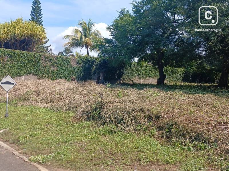 Finca en venta en Managua – 1,109 varas²