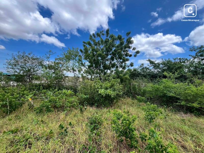 Lot for sale in Las Jaguitas