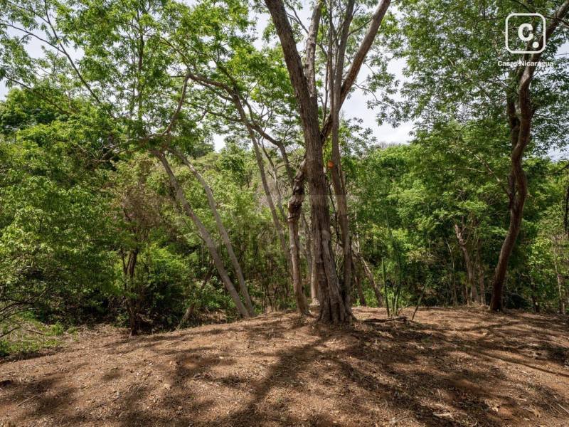 Terreno en venta en Rancho Santana, Tola, Rivas