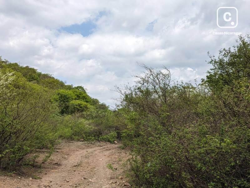Farm for sale in Matagalpa – 237,558 m²