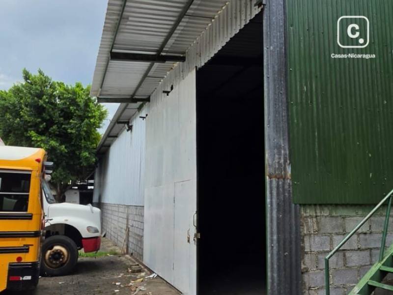 Local comercial en alquiler en Las Colinas, Managua – 378 m²