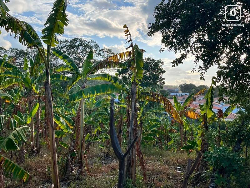 Terreno en venta en Santo Domingo, Managua