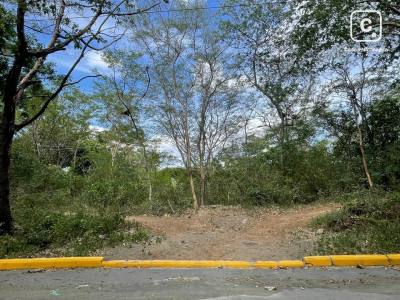 Terreno en venta en Jocote Dulce, Managua – 2,235 varas²