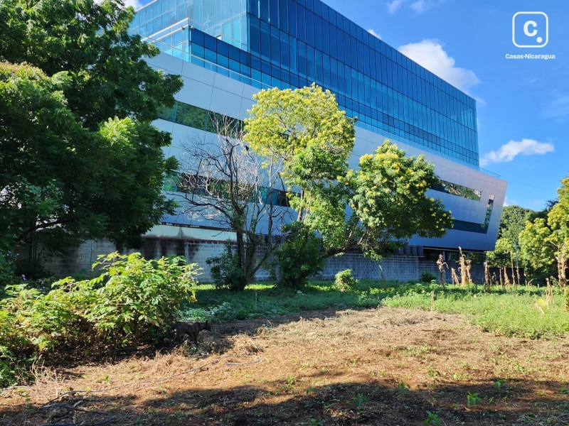 Lot for sale in Managua – 39,102 m²